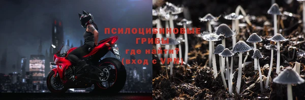 spice Богородицк