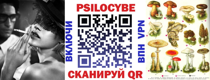 Псилоцибиновые грибы Cubensis  Бодайбо 